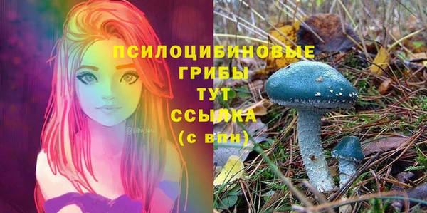 герыч Лиски