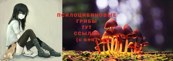 герыч Лиски