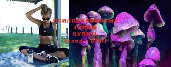ECSTASY Лихославль
