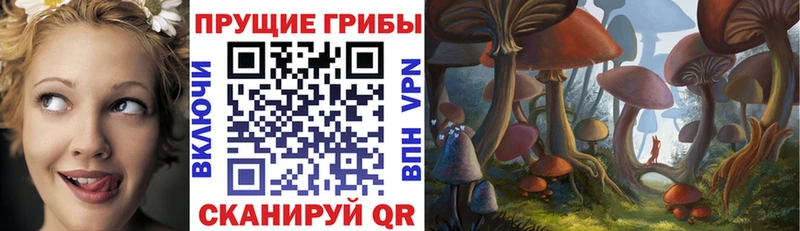 наркота  Фокино  Псилоцибиновые грибы Psilocybine cubensis 